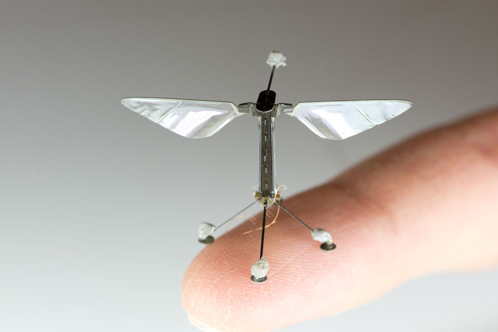 bio inspired drones